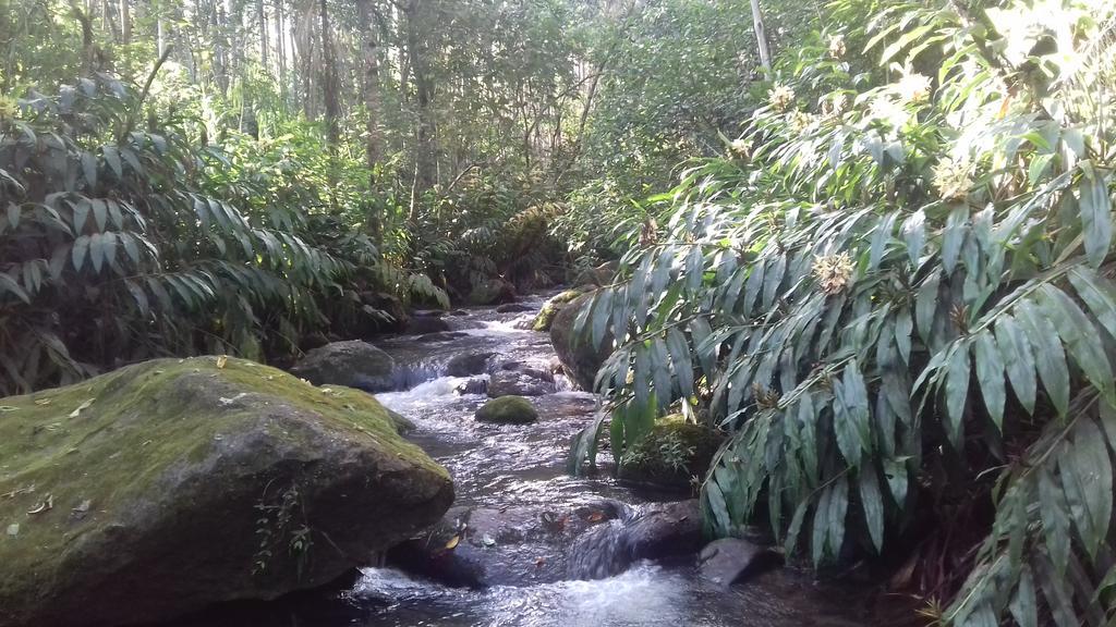 Pousada Aconchego Do Caboclo Monteiro Lobato Luaran gambar